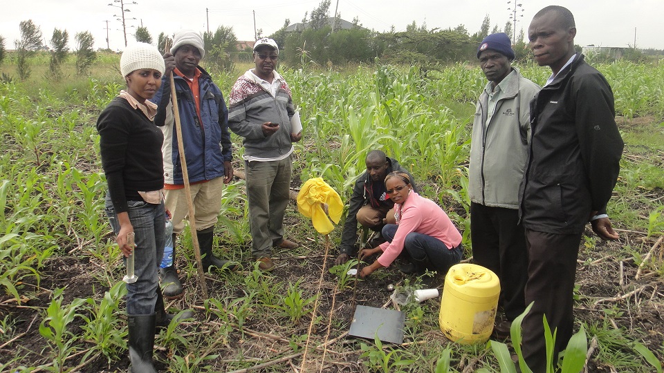 RLC Bonn student Juliet Wanjiku conducting field research in Kenya
