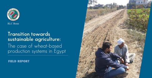 RLC Bonn Junior Researcher conducted field work in Egypt