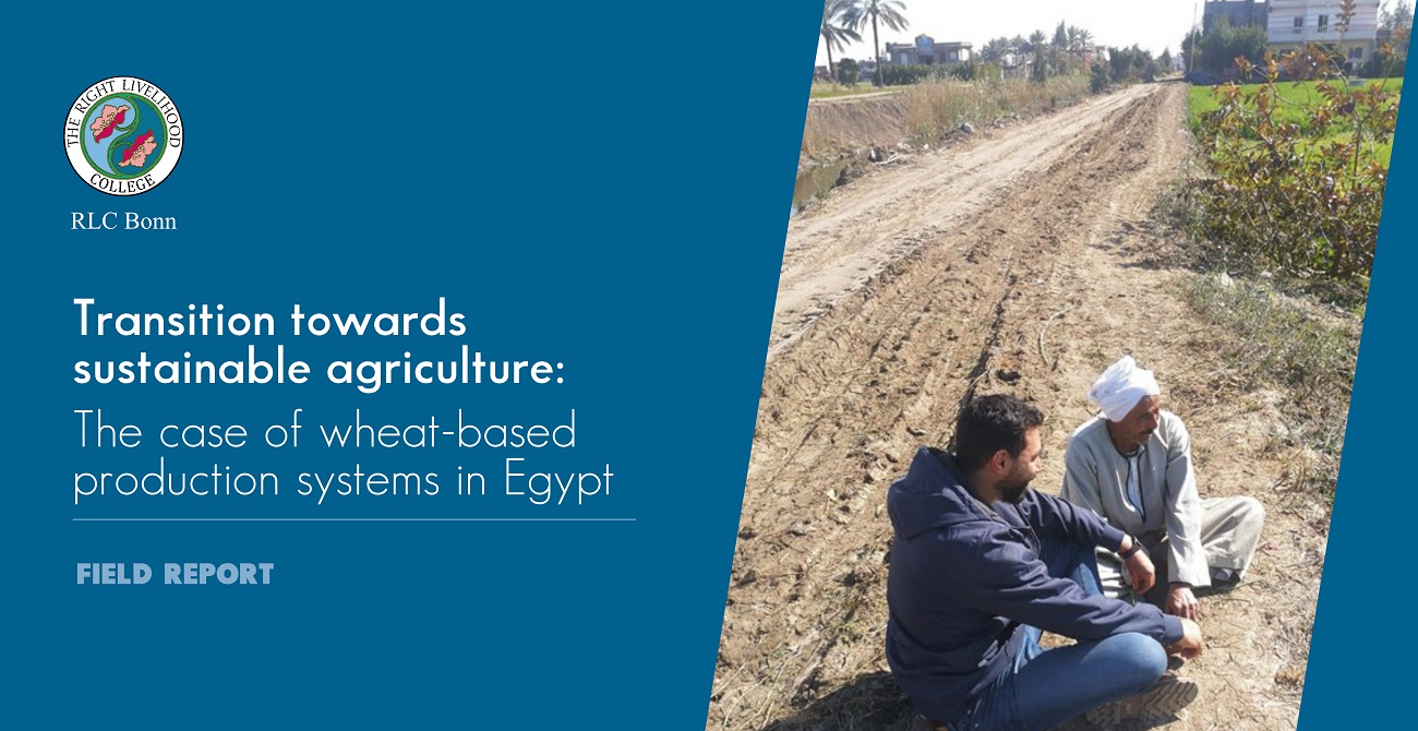 RLC Bonn Junior Researcher conducts field work in Egypt